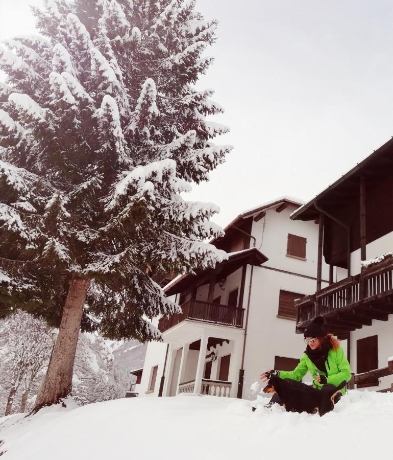 Elison-On The Lake B&B Sauris Buitenkant foto